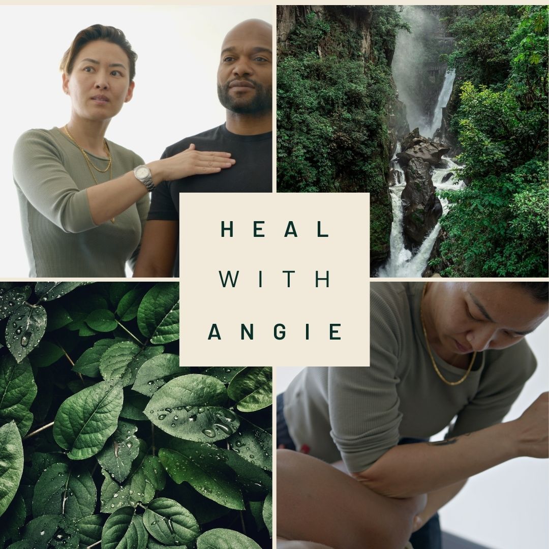 Updates, Classes, and Current Offerings